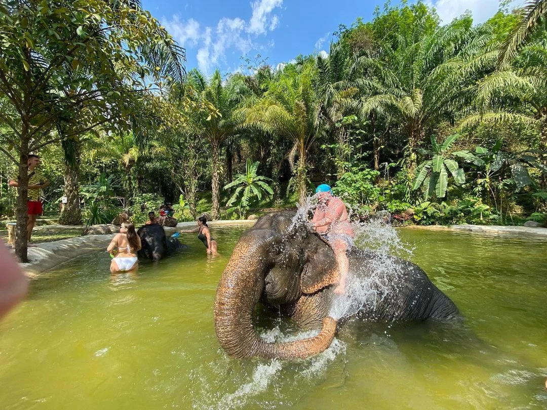 Као Лак + купание со слоном