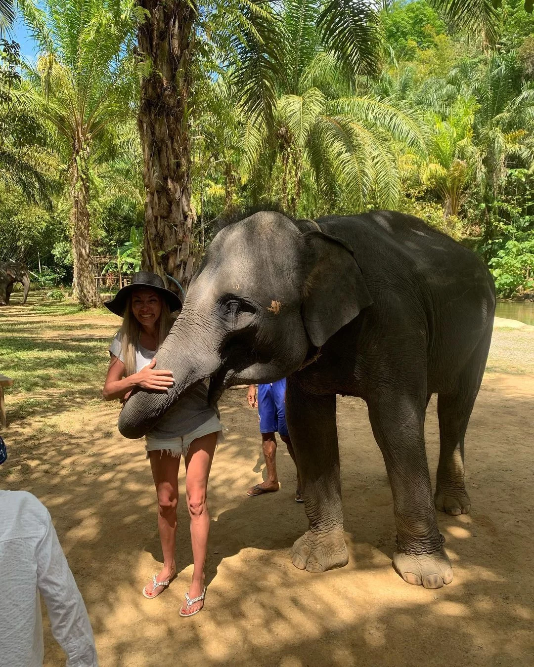 Као Лак + купание со слоном