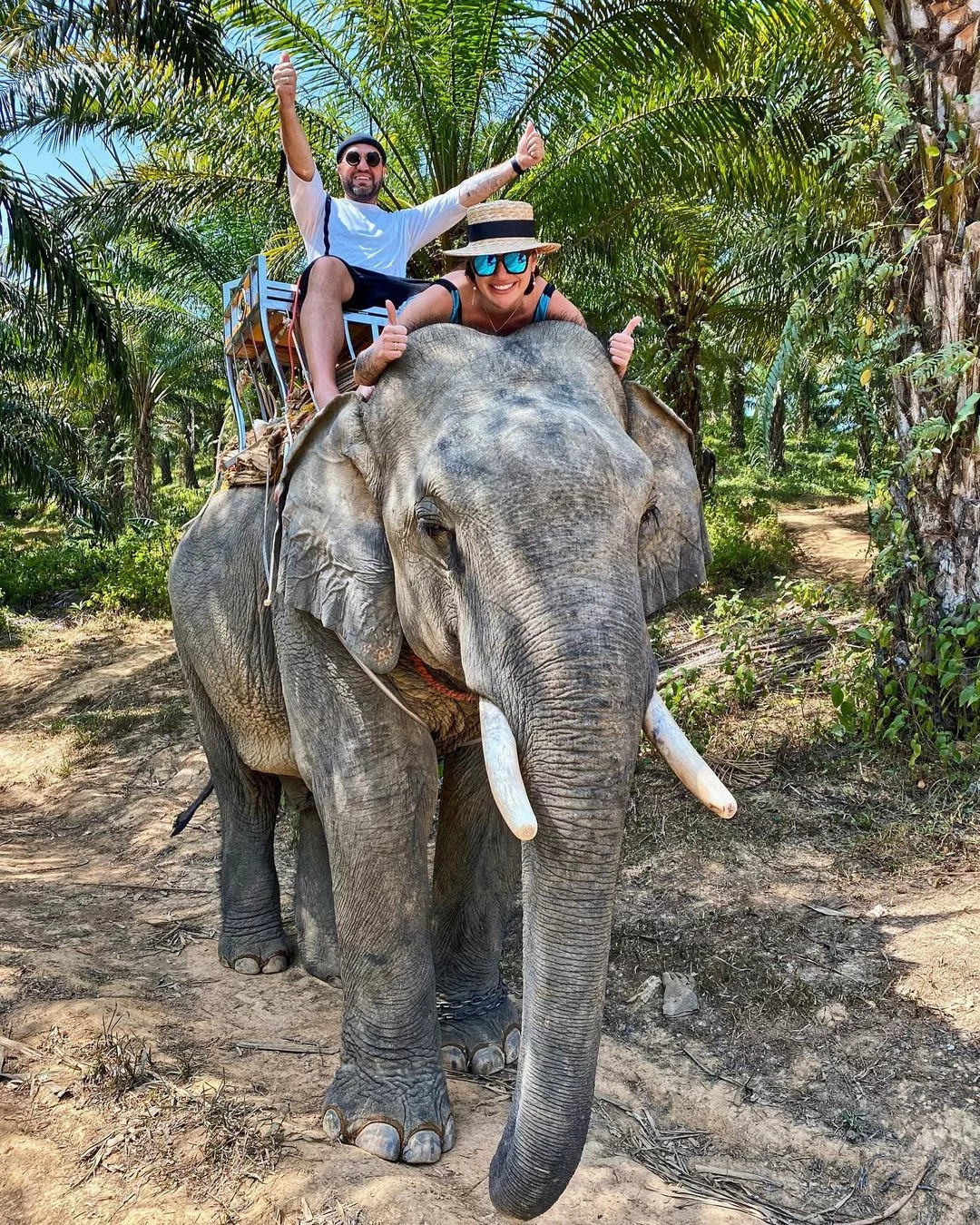 Аватар + cтеклянный мост + бамбуковые плоты